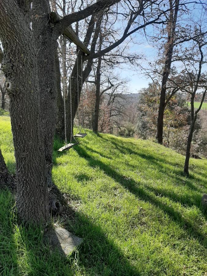 Allotjament Rural Solsona Dış mekan fotoğraf