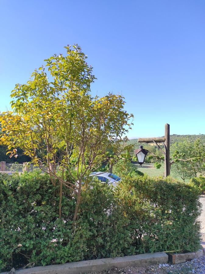 Allotjament Rural Solsona Dış mekan fotoğraf