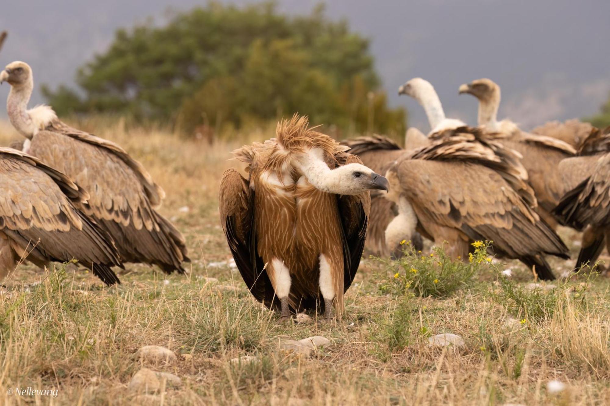 Allotjament Rural Solsona Dış mekan fotoğraf